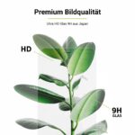 SecondDisplay for iPhone (2er Pack) - Premium Bildqualität